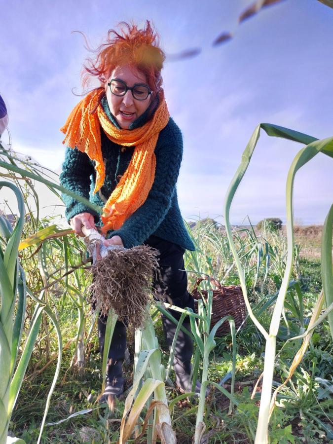 Turismo Rural La Ojinegra Alloza Buitenkant foto